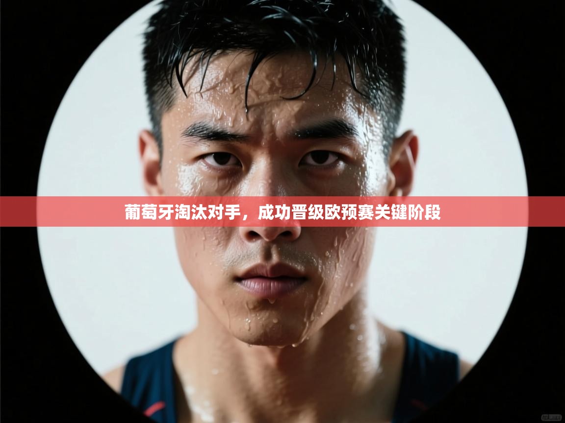 葡萄牙淘汰对手，成功晋级欧预赛关键阶段  第1张