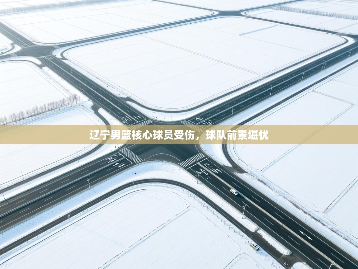 辽宁男篮核心球员受伤，球队前景堪忧  第1张