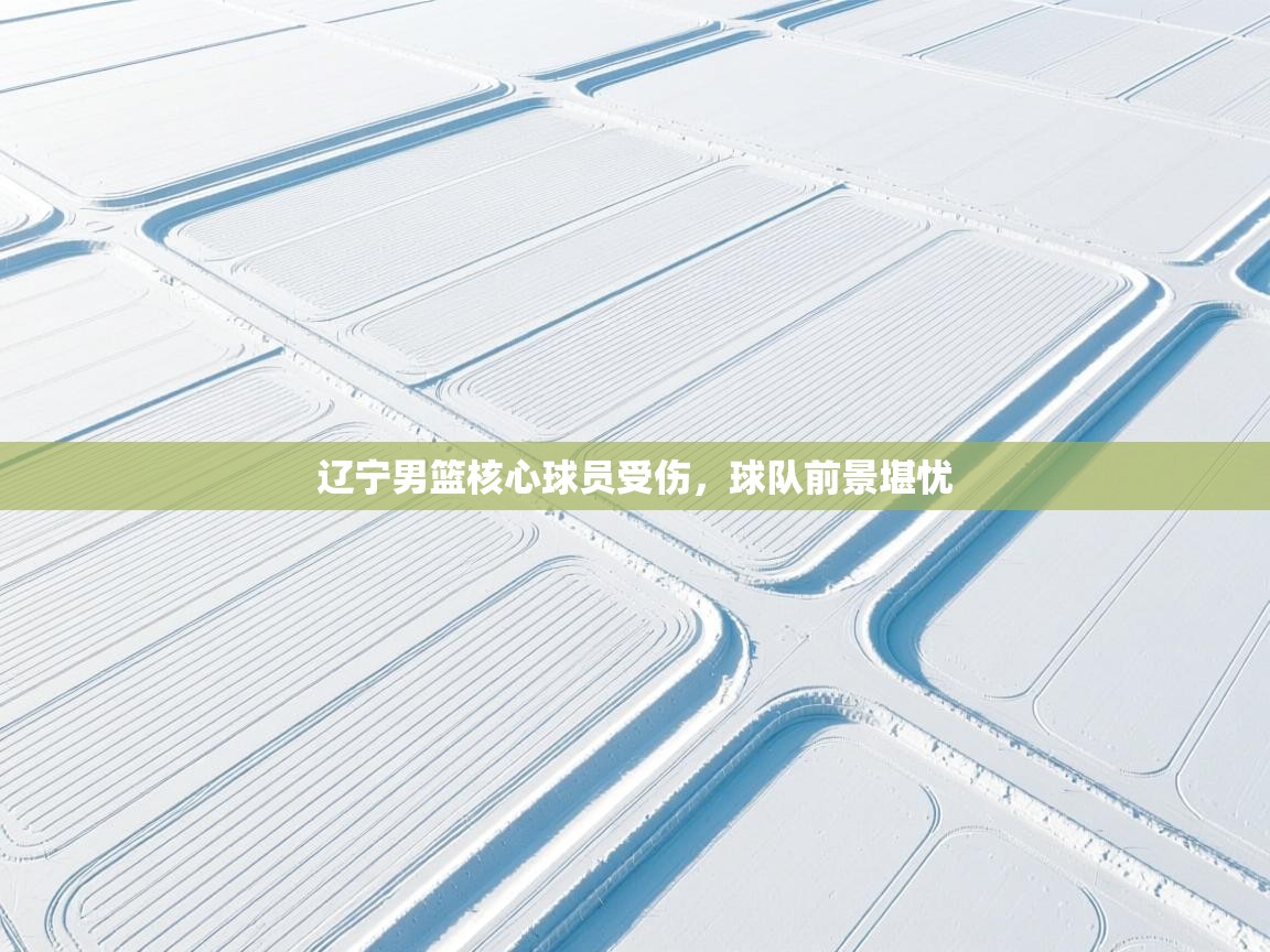 辽宁男篮核心球员受伤，球队前景堪忧  第2张