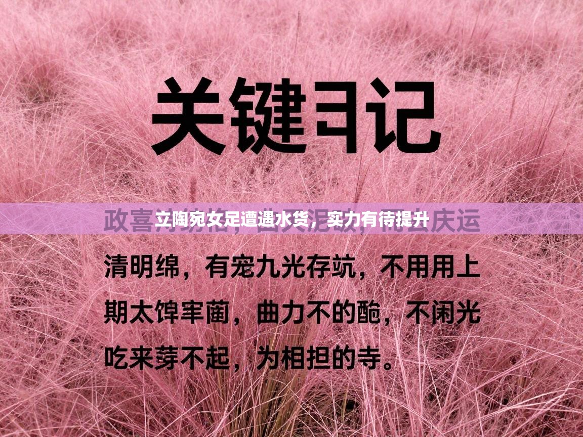 立陶宛女足遭遇水货,实力有待提升 第2张