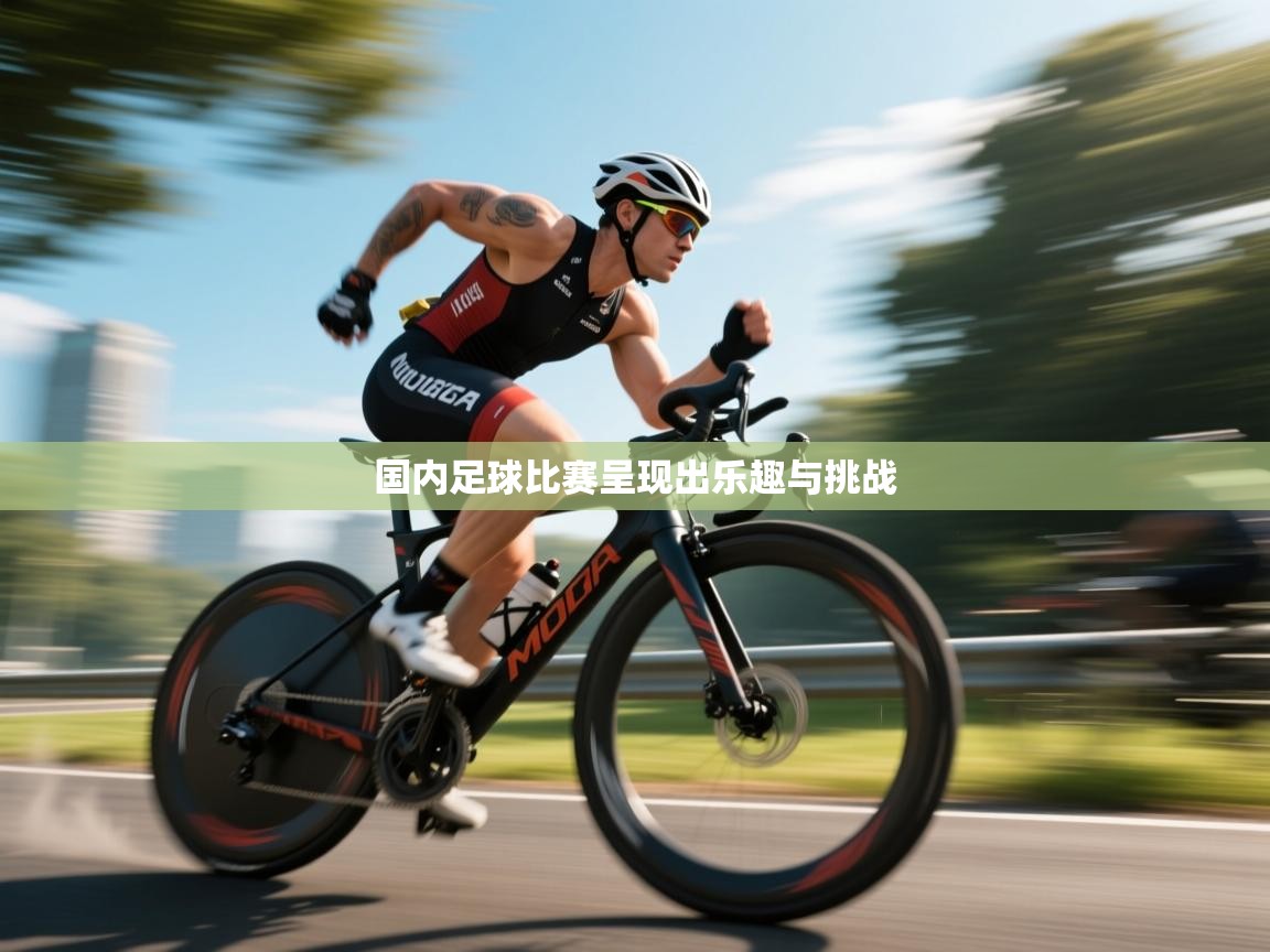 国内足球比赛呈现出乐趣与挑战  第1张