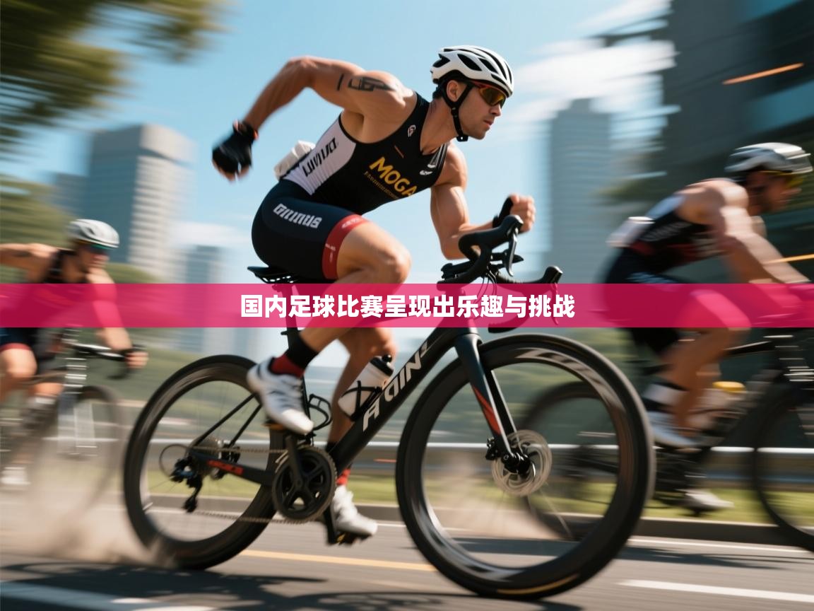国内足球比赛呈现出乐趣与挑战  第2张