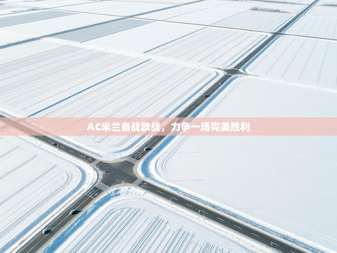 AC米兰备战欧战，力争一场完美胜利  第1张