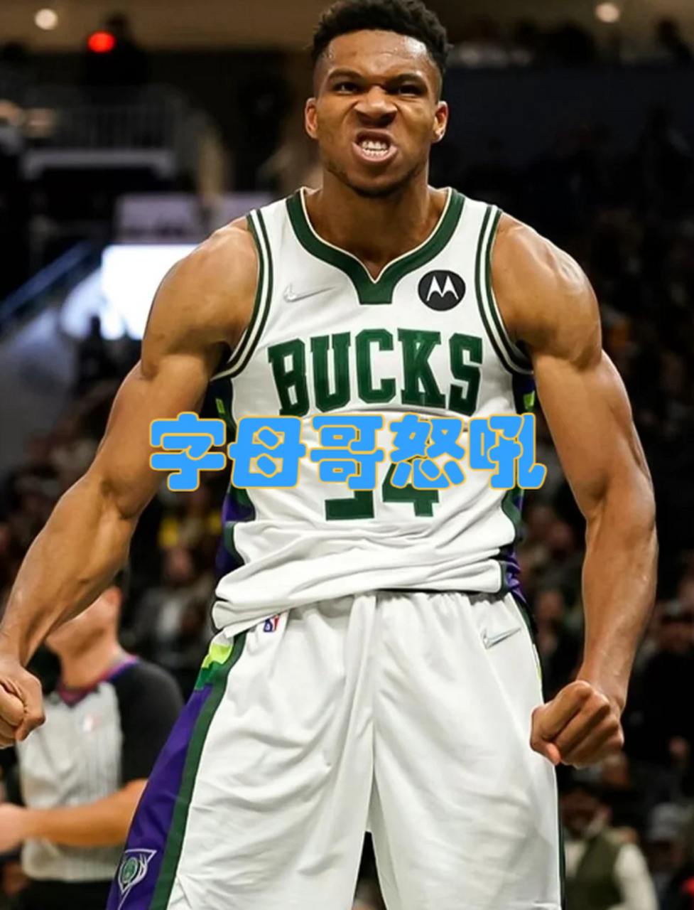 星空体育登录入口-NBA全明星投票：字母哥领先詹姆斯